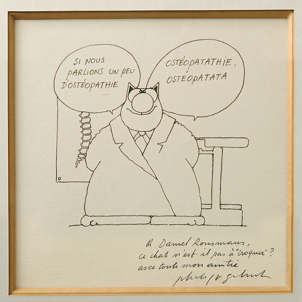Le Chat et ostéopathie